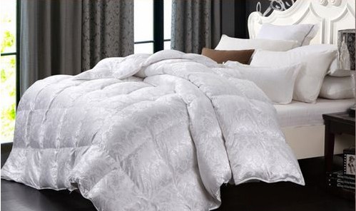 �Ҽ�Ʒ���pʮһ�A(y��)�ۡ����������M(f��i)��