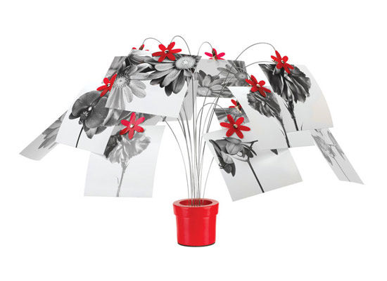 ��(chu��ng)�⻨�ͼ�Ʒ������|(zh��)��������