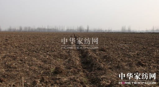 ���ýz�I�f�����B(t��i)ɣ�@�ƌW(xu��)��ɣ