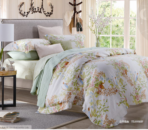 ҹ�������w���������