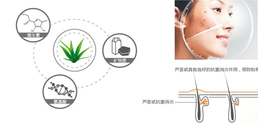 �{(l��n)Ʒ�Ƽ�������Ȼ���B(y��ng)������