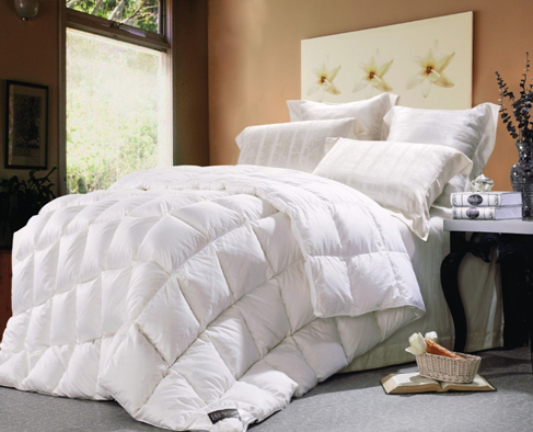 ���ˍu����q���ı��B(y��ng)֪�R(sh��)