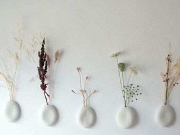 �Gɫֲ���b�c����