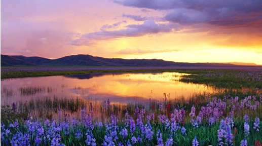 �W�ɼҼ����c����s����������