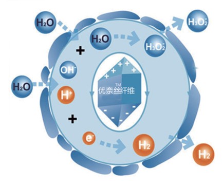 �{(l��n)Ʒ�Ƽ���Ů�ԼҼ������o(h��)����