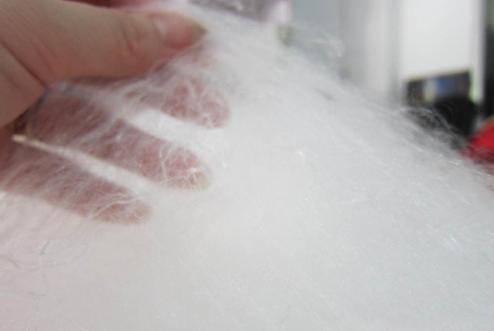 �L���|(zh��)���O(ji��n)�y������Q�z���˳ɲ��ϸ�