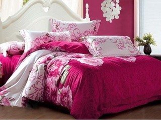 �Ҽ��z���°��� ���M����ô�k��