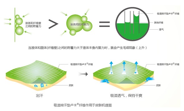 �{Ʒ����R���w�S����ˬ˯�߲��ǉ���