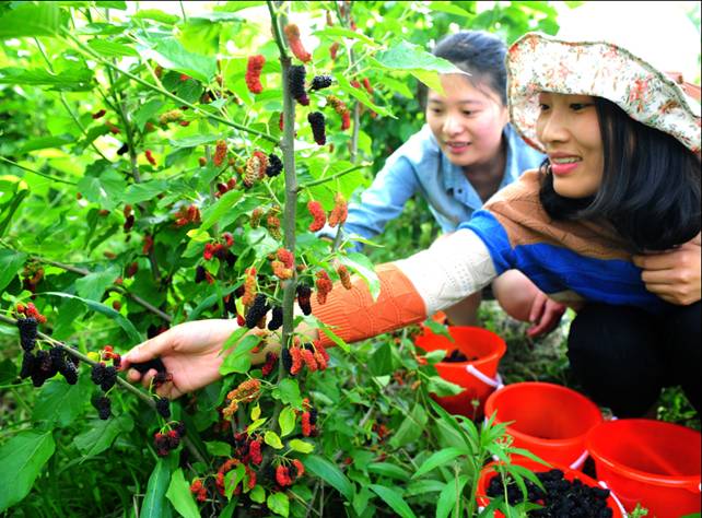 ���ýz�I�׌�ɣ�ز�ժ��(ji��)�����ء���ϲ��