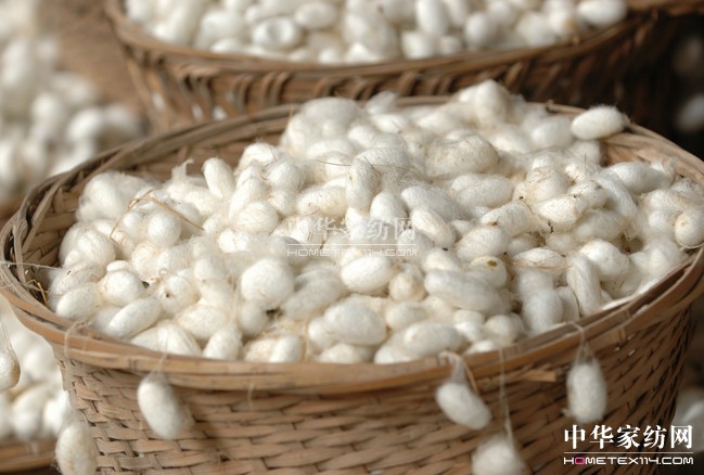 ���Ї��O�z֮���������Ĵ���ɽ