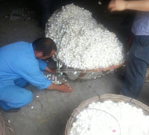 ͩ�l(xi��ng)�����d�ȵ��_ʼ��ُ���괺�O