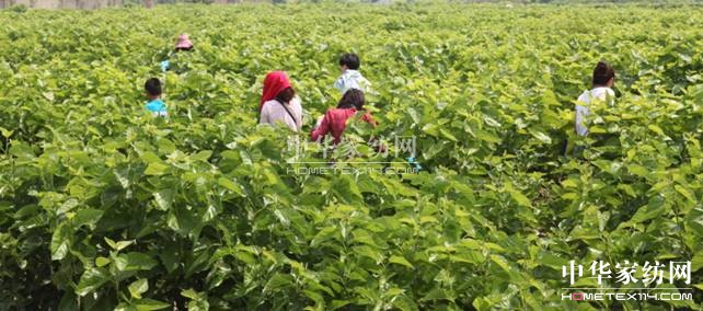 ���ýz�I��ɣ�ز�ժ��(ji��)�A�M(m��n)��Ļ