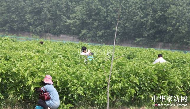 ���ýz�I��ɣ�ز�ժ��(ji��)�A�M(m��n)��Ļ