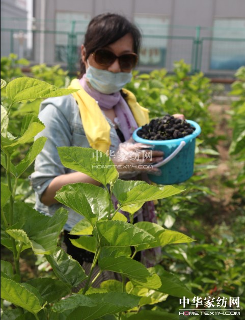 ���ýz�I��ɣ�ز�ժ��(ji��)�A�M(m��n)��Ļ