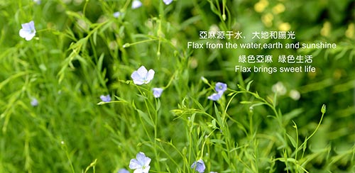 �Z���ׁ��鲼�Ҽ��������籭���g˯��