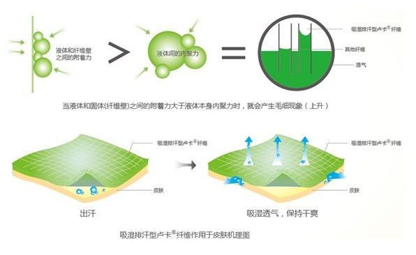 �ļ���Ʒ�o�B(y��ng)����ϴ��߀����