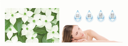 �{�׷���R���w�S������(qu��n)���z�y(c��)����ȫ�ɿ�