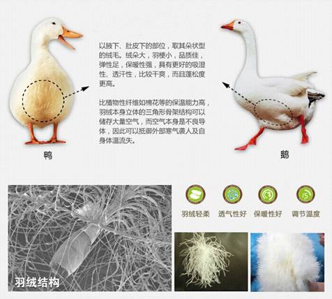 �W�ɼҼ����������u�������xُ��Ʒ����q��