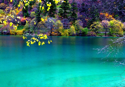 �Ї��Ҽ��f(xi��)��(hu��)���Ĵ������{(di��o)��