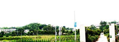 �����Ҽ����ٮ��ЙC(j��)���B(t��i)�r(n��ng)�f ׌�T�����Ϸ��Ĳ�