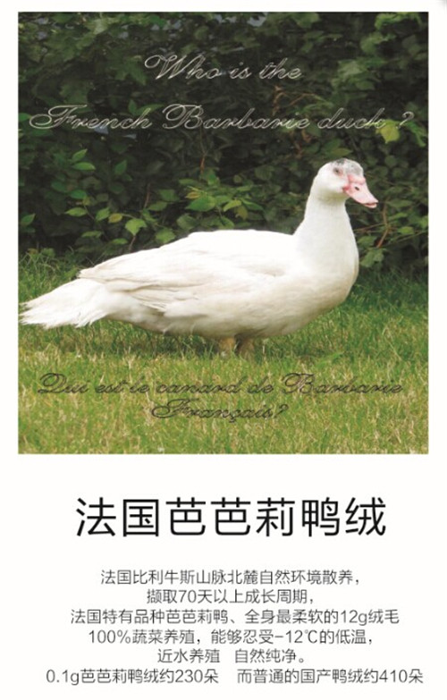 Ʒ�|(zh��)58�����(m��ng)���Ҽ��cȫ��ۼ���һͬ��(m��ng)��