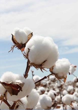 �W�ɼҼ������������ۼ���һ�ӵğ��