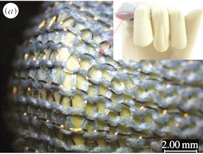 �������Լ����·�����ϰ�ü��p��