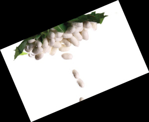 �Q�z���q�r(ji��)������]�ך���