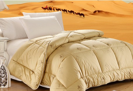 ��·�Ҽ��ﶬ��Ʒ��@�Ј��J(r��n)��