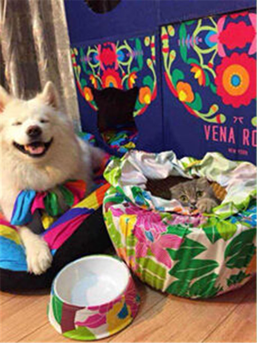 ���Ӷ�����Ψ�_�Ҽ���(d��)�ص��̘I(y��)ģʽ