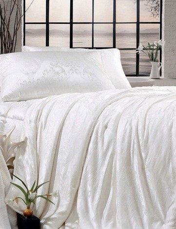 �����ȼҼ�������������(zh��n)�������^(gu��)��