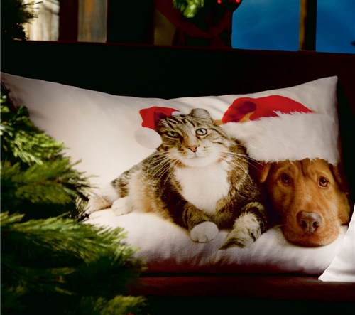 ���r(sh��)�мҼ�Ʒ��ʥ�Q��(ji��)Ԫ�ؿ��|�������C(j��)����