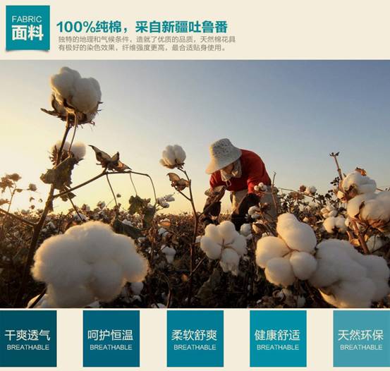 �����ԼҼ�������ʧȥ�ľ���҈@