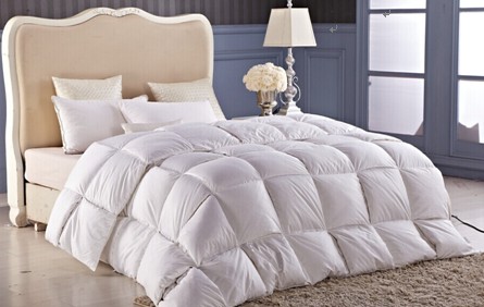 ���_�m�qĩ���u��g���ݡ����f�õĲ�Ҋ��ɢ��