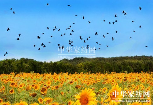 ����һ��ȥ���_��˹���s����