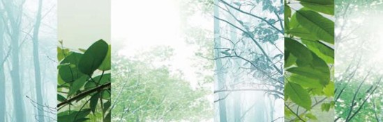 ���_�m���C(j��)�Ҽ���߀ԭ���Rԭ���B(t��i)ƽ��h(hu��n)��