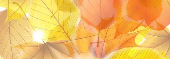 ����˯����ه(l��i)��Violet���C(j��)�Ҽ�