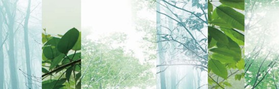 ����˯����ه(l��i)��Violet���C(j��)�Ҽ�