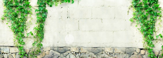 ʢ�š��ûʼҼ�2016������Ʒӆ؛��(hu��)�A�M���