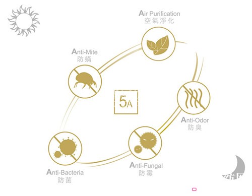 ������ɼ��F(tu��n)�������һվʽ�Ҿ������w�(y��n)�^�����L��׿չ