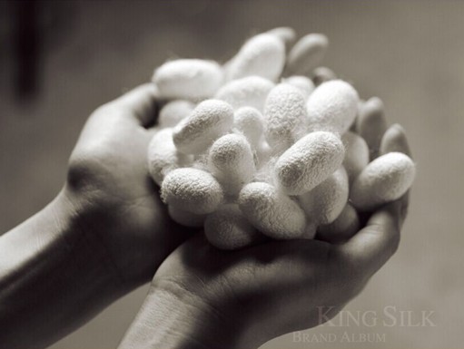 �vʹ�q������  �X���ʐ�����������D(zhu��n)