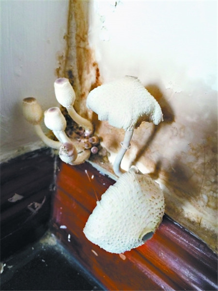 �û�����Ҿ���Ʒ�������^(gu��)��(g��)����ˬ��÷�꼾