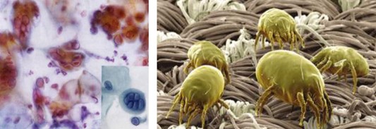 ���_�m�Ҽ�������������������360�㝍����˯