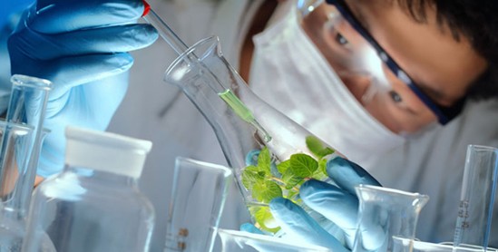 ���_�m�Ҽ���ɭ��������˯�ߡ����C���Сɭ��