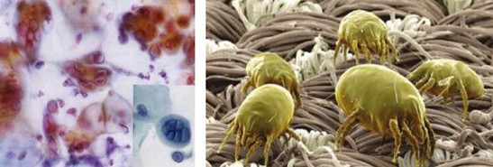 �ܽ^���f���x�����x���_�m���C(j��)�Ҽ�