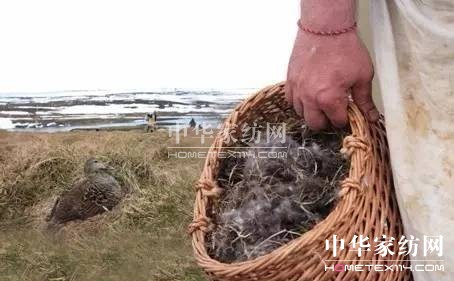 ������27�f(w��n)�I�²���Ҽ�"����"��"����"��