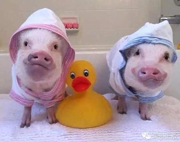 ��ԡ���һ�l��ԡ�����͎��o�㲻�Զ������Ҹ���