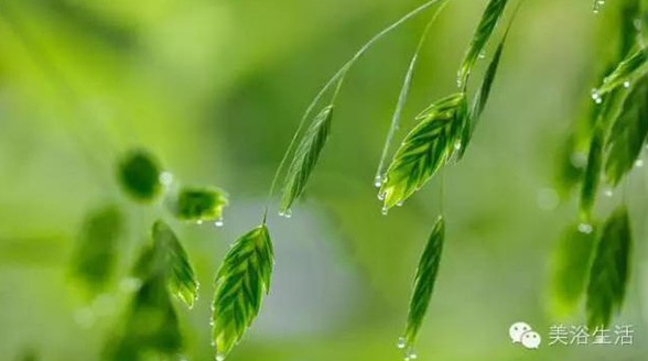 ��ԡ���Փһ�lë�����������B(y��ng)��