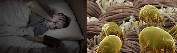 ���z�R�����_�����B(t��i)���ܼҾ�4.0�r(sh��)��