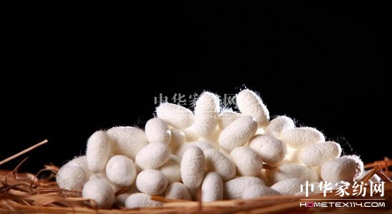 ���z�R�ƣ��_�����B(t��i)���ܼҾ�4.0�r(sh��)��